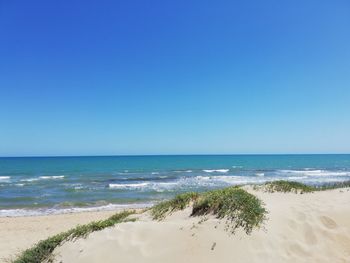 Scenic view of beach against clear blue sky