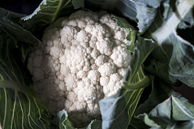 Close-up of vegetables for sale in market