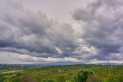 Scenic view of field against sky