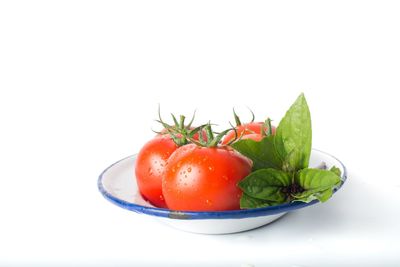 Close-up of tomatoes in bowl against white background