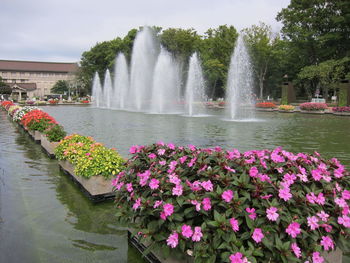 View of water fountain in park