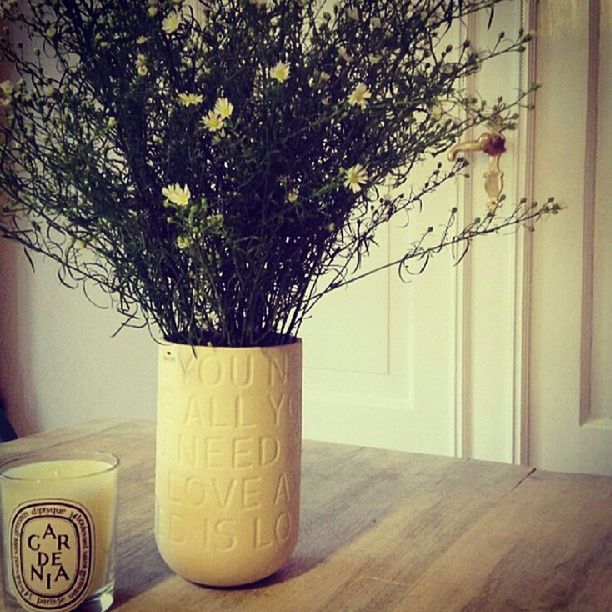 potted plant, indoors, window, wall - building feature, vase, growth, plant, built structure, table, wall, tree, architecture, home interior, window sill, glass - material, no people, flower pot, house, day, flower