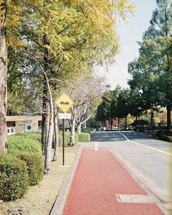 View of footpath along trees