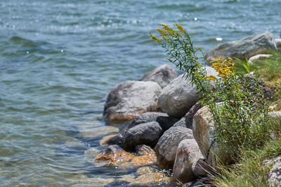 Close-up of rocks on beach