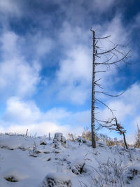 Snow covered land against sky