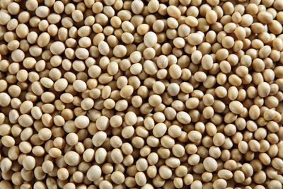 Full frame shot of soya beans