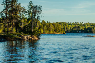 Scenic view of lake with trees in background