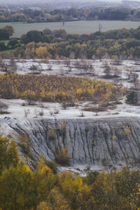 Scenic view of river flowing through forest