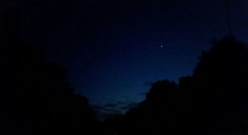 Low angle view of silhouette trees against sky at night