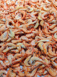 Full frame shot of shrimps for sale at market