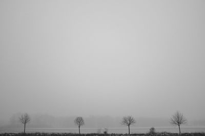 Bare trees on field against clear sky