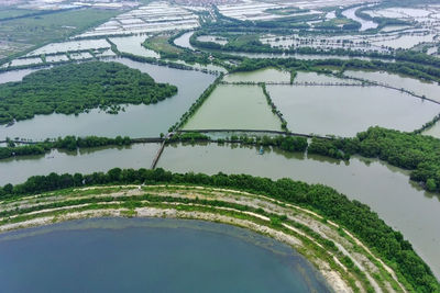 Aerial view of fish farm near the bengawan solo river, gresik, indonesia. top view.