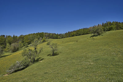 Scenic view of land against clear blue sky