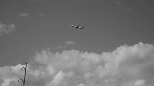 Low angle view of airplane flying in sky