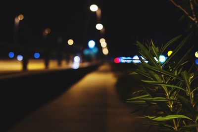 Defocused image of illuminated street lights at night