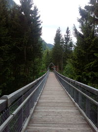 Footbridge amidst trees in forest against sky