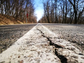 Surface level of road amidst trees against sky