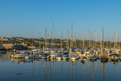 Sailboats moored in harbor