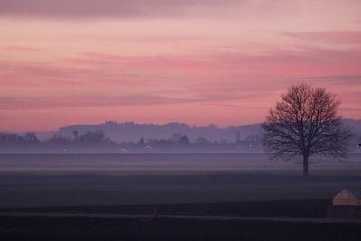 Scenic view of field against sky during sunset