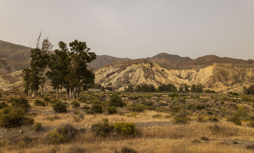 Landscape of tabernas desert, almeria, spain