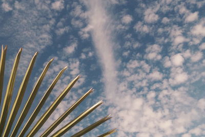 Low angle view of sky