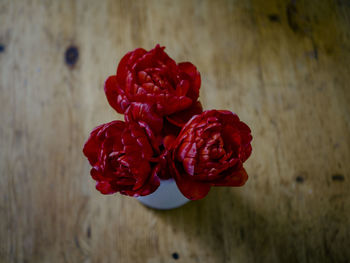 Close-up of red tulips on the table