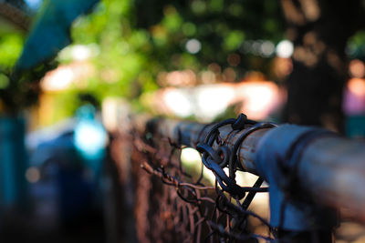 Close-up of fence in city