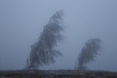 Bare tree against sky during winter