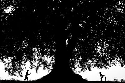 Low angle view of silhouette tree against sky