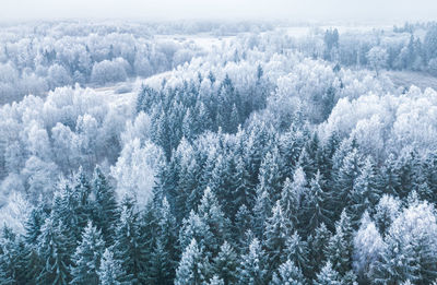 Aerial view of snow covered landscape