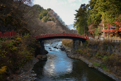 Arch bridge over river in forest