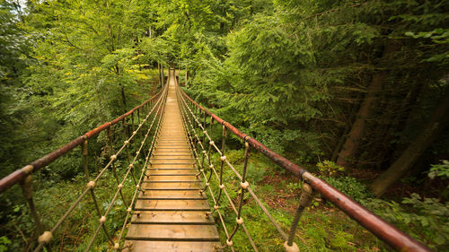 Footbridge amidst trees in forest