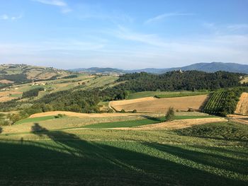 Scenic view of agricultural field against sky