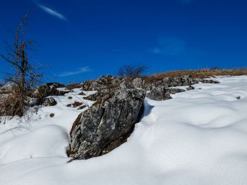 Scenic view of snow covered field against blue sky