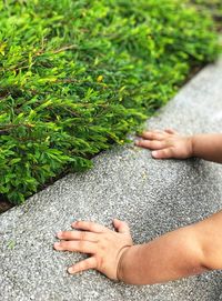 Low section of child on hand