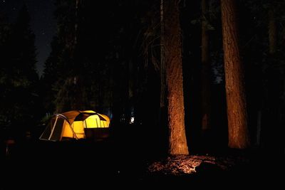 Illuminated tent in forest at night