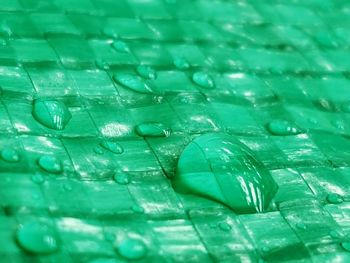 Full frame shot of water drops on leaf