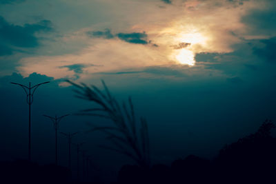 Low angle view of silhouette plants against sky during sunset