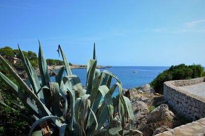 Panoramic view of sea against blue sky