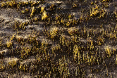 Full frame shot of water