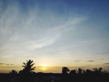 Low angle view of silhouette trees against sky at sunset