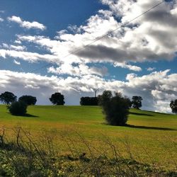 Scenic view of field against sky