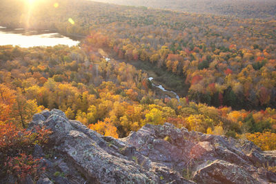 Scenic view of landscape