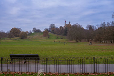 Trees in park