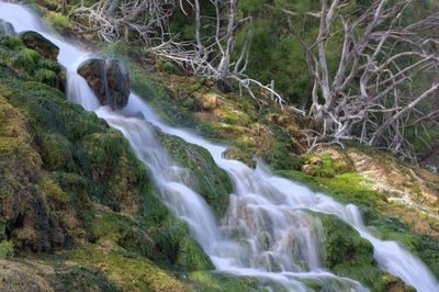 Stream flowing through rocks in forest