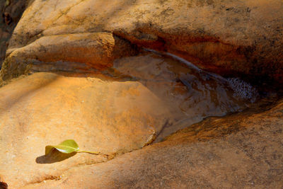 High angle view of rock on land