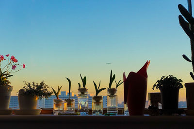 Close-up of vases against clear blue sky