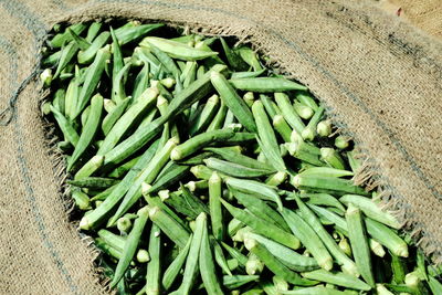 High angle view of vegetables