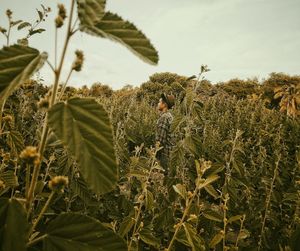 Man working on field against sky