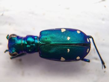 Close-up of sunglasses on table